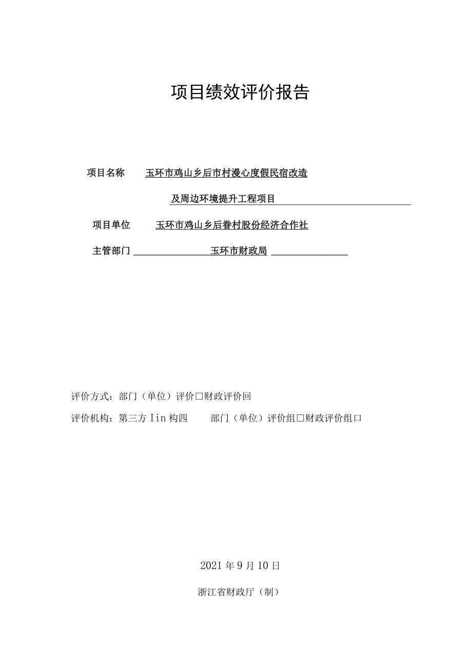 项目绩效评价报告.docx_第1页