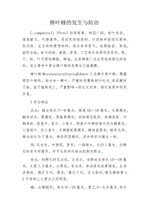 樟叶蜂的发生与防治.docx