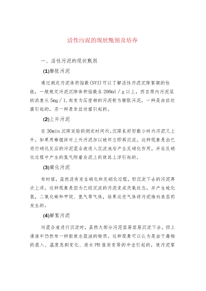 活性污泥的现状甄别及培养.docx