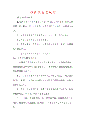 少先队管理制度.docx