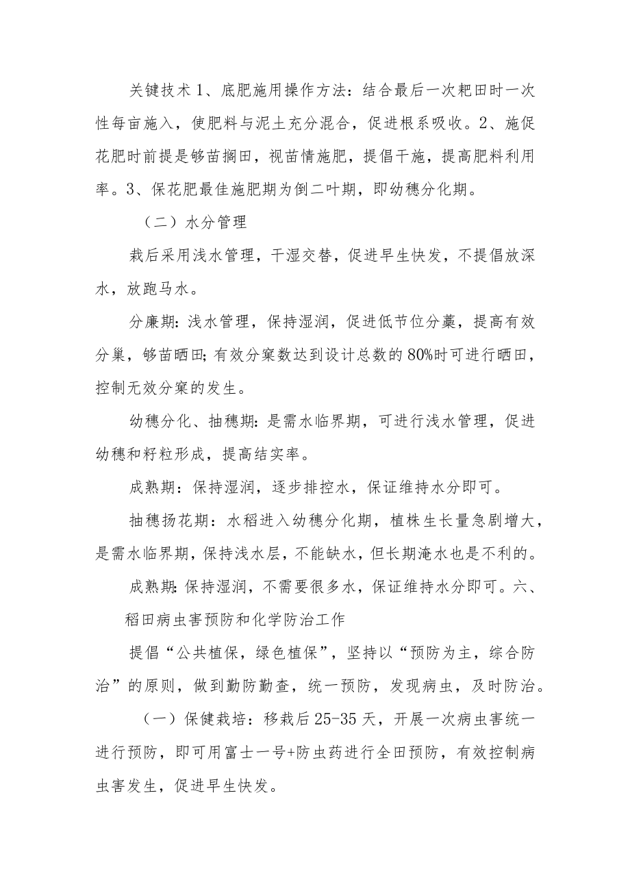 水稻高产栽培技术方案.docx_第3页