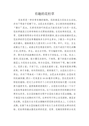有趣的花柱草.docx
