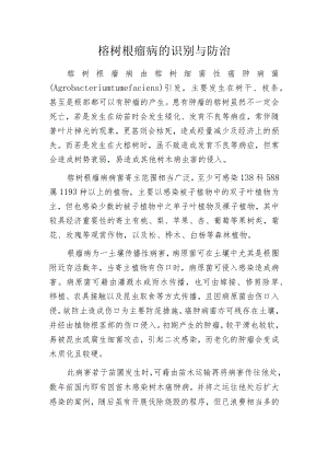 榕树根瘤病的识别与防治.docx
