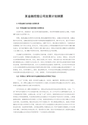 某金融控股公司发展计划纲要.docx