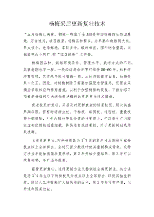 杨梅采后更新复壮技术.docx