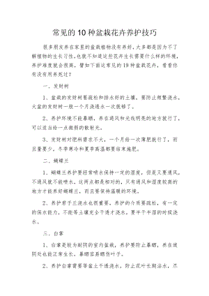 常见的10种盆栽花卉养护技巧.docx