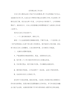 试用期出纳工作总结.docx
