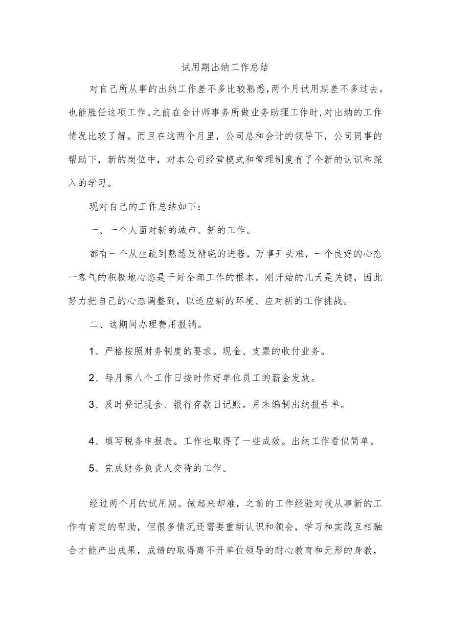 试用期出纳工作总结.docx_第1页