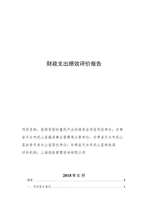 财政支出绩效评价报告.docx