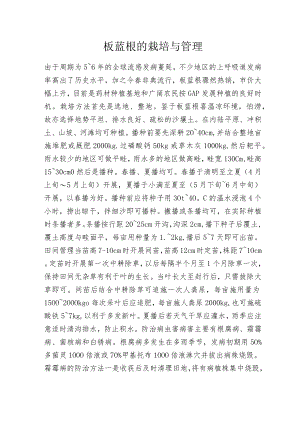 板蓝根的栽培与管理.docx