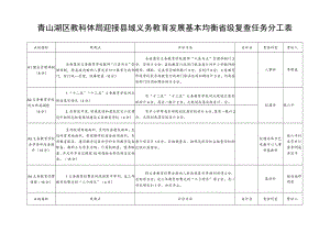 青山湖区教科体局迎接县域义务教育发展基本均衡省级复查任务分工表.docx