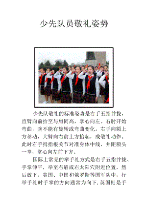 少先队员敬礼姿势.docx