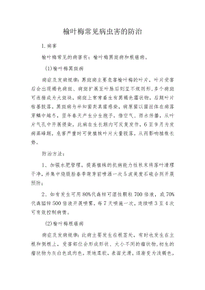 榆叶梅常见病虫害的防治.docx