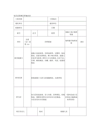 钻芯法检测芯样编录表.docx