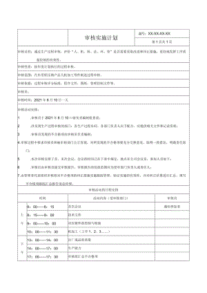 审核实施计划.docx
