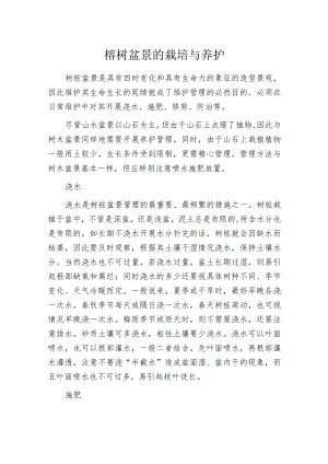 榕树盆景的栽培与养护.docx