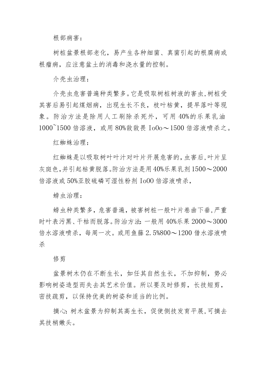 榕树盆景的栽培与养护.docx_第3页