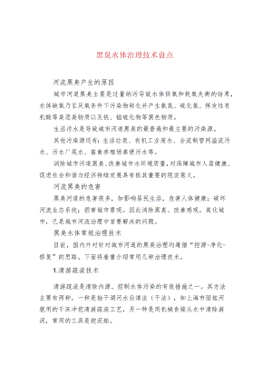 黑臭水体治理技术盘点.docx