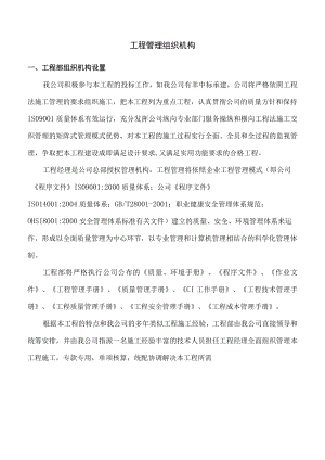 项目管理组织机构.docx
