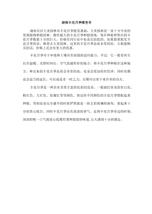 湖南丰花月季哪里有.docx