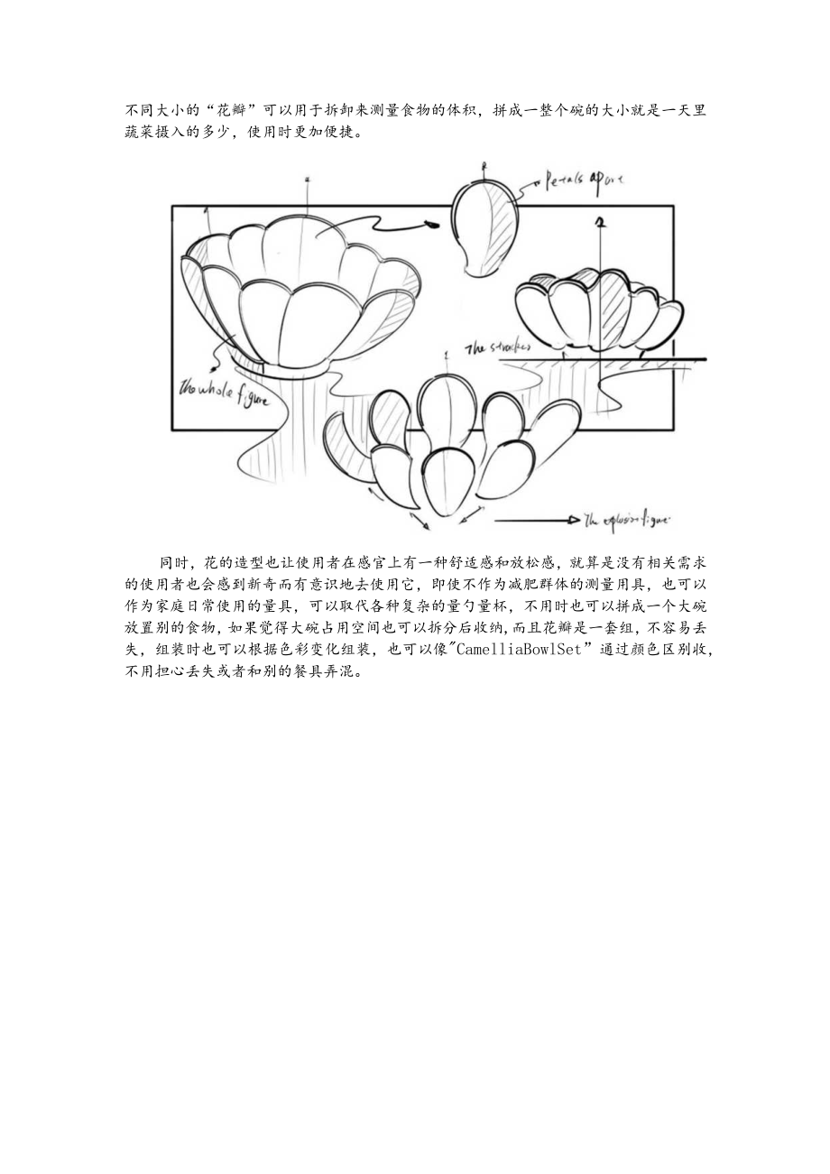 设计前沿大作业.docx_第3页
