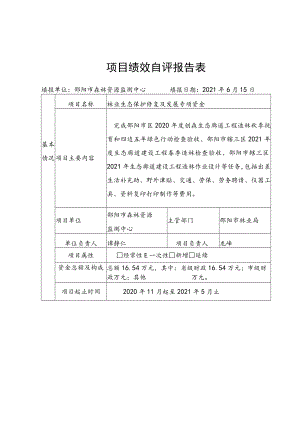 项目绩效自评报告表.docx