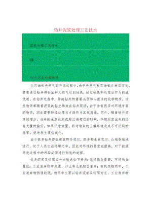 钻井泥浆处理工艺技术.docx