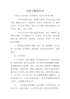 无患子栽培技术.docx