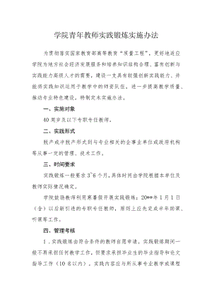 学院青年教师实践锻炼实施办法.docx