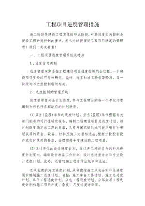 工程项目进度管理措施.docx