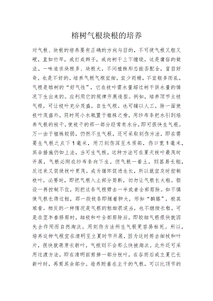 榕树气根块根的培养.docx