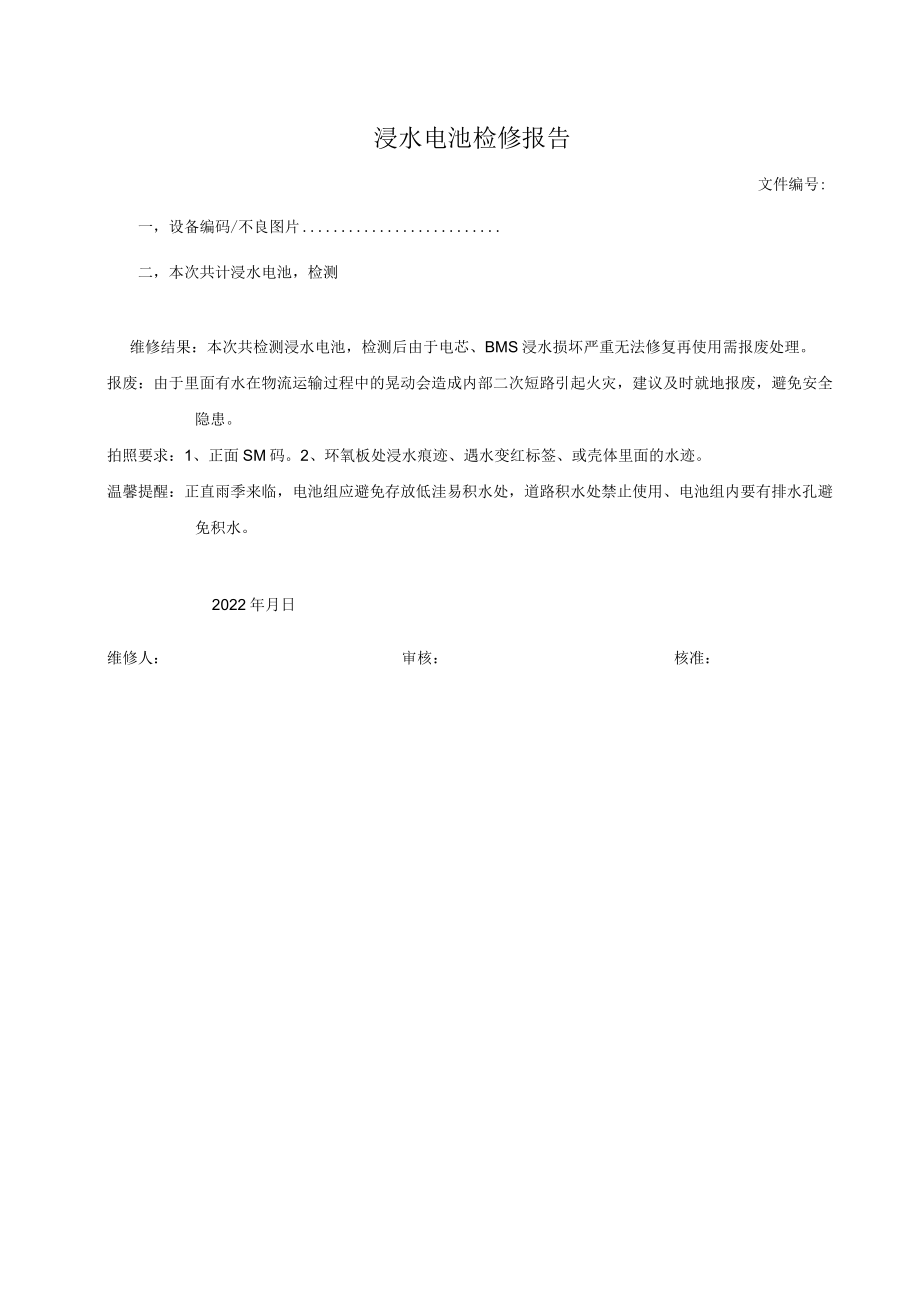 浸水电池检修报告.docx_第1页