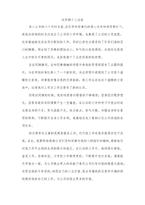 试用期个人总结.docx