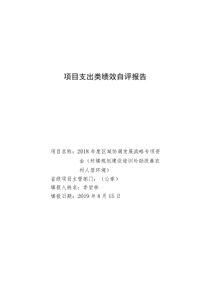 项目支出类绩效自评报告.docx