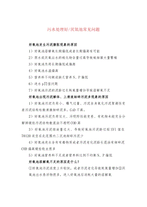 水处理--污水处理好厌氧池常见问题.docx