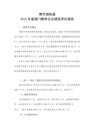 青竹湖街道2018年度部门整体支出绩效评价报告.docx