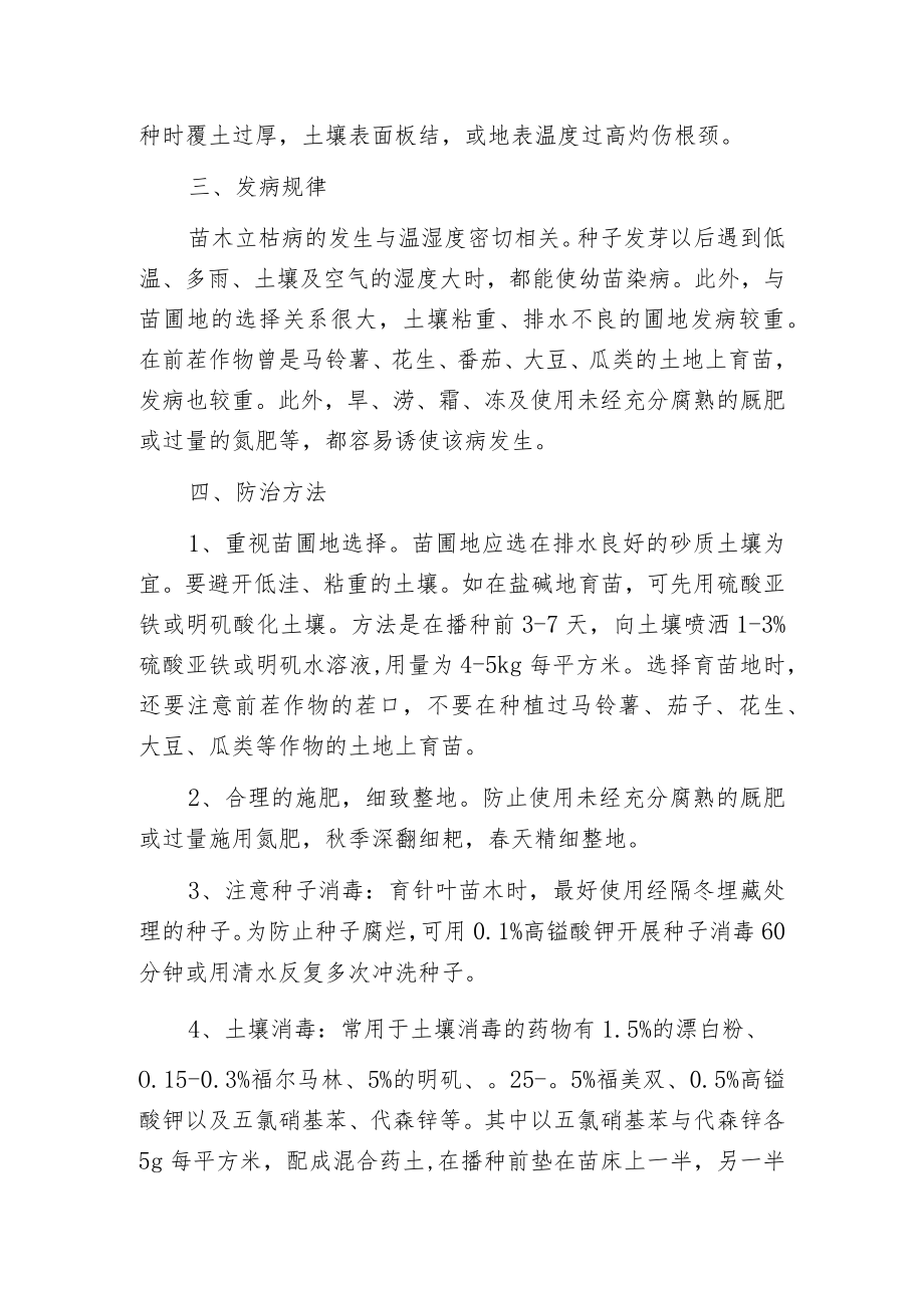 松苗立枯病的识别与防治.docx_第2页