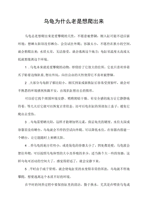 乌龟为什么老是想爬出来.docx
