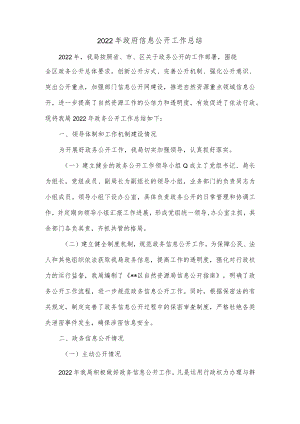 2022年政府信息公开工作总结.docx