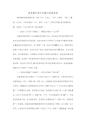 县党建引领乡村振兴经验材料.docx