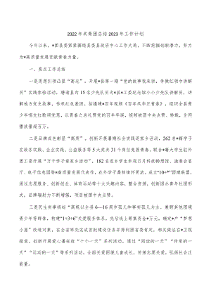2022年共青团总结2023年工作计划.docx