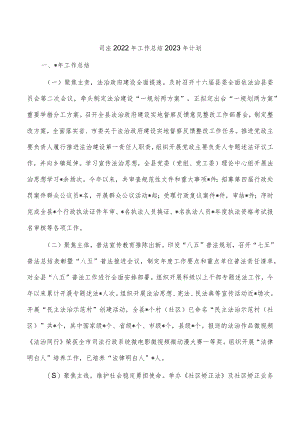 司法2022年工作总结2023年计划.docx