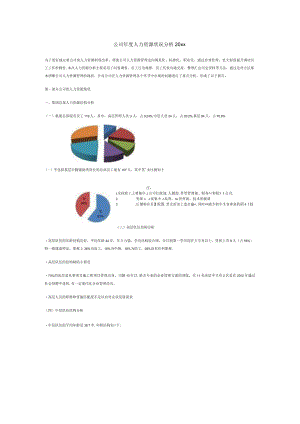 公司年度人力资源状况分析20xx.docx