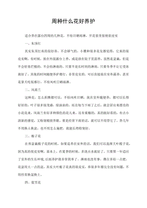 四周种什么花好养护.docx