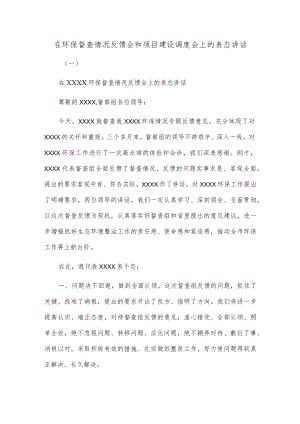 在环保督查情况反馈会和项目建设调度会上的表态讲话.docx