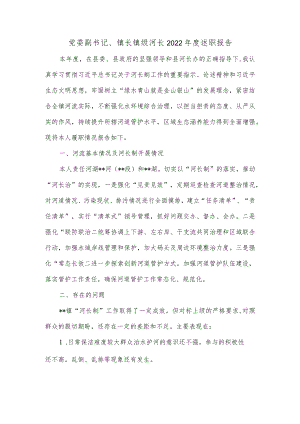 党委副书记、镇长镇级河长2022年度述职报告.docx
