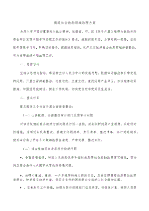 街道社会救助领域治理方案.docx