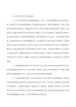 2022年公平竞争审查报告.docx