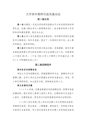 大学青年教师引进实施办法.docx
