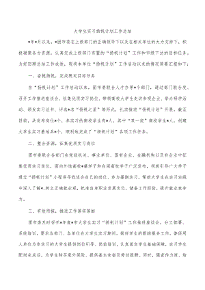 大学生实习扬帆计划工作总结.docx